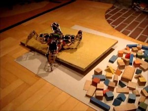 X-walker quadruped robot, walking on a balancing beam