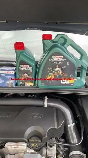 ford focus 1.0 ecoboost (Annual engine oil service using CASTROL MAGNATEC 5W20!!) #shorts