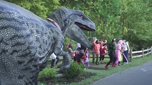 192 reactions · 164 shares | Join us for Le Bonheur Zoo Boo Jurassic Journey! Tickets available the rest of October on the 16th -18th, 23rd - 25th, & 29th -31st, 6-9PM. Don't miss out on all the frighteningly fun activities, click to get your tickets today! | Memphis Zoo | Facebook