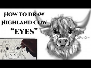 #BCreative How to Draw Highland Cow Eyes