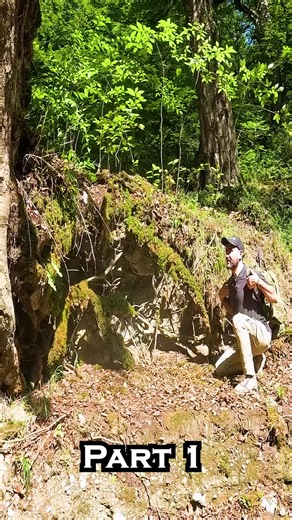 Building a Cozy Survival Shelter: Bushcraft Tips