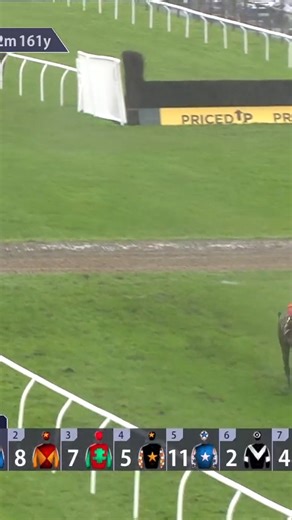 320K views · 979 reactions | Remarkable! Blowers is a 300/1 winner at Exeter | Racing TV | Facebook