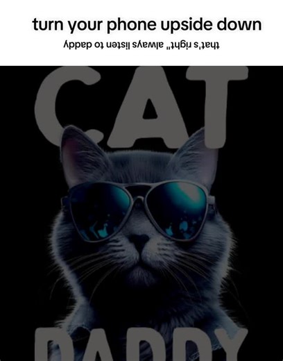 #Meme #MemeCut #CapCut #cat#daddy