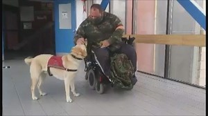 Service dog allows Saint John man with epilepsy to live independently