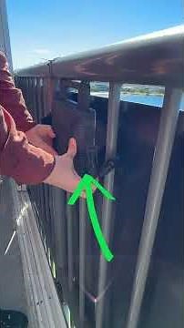 Sunplug Australia balcony solar setup instructions #balconysolar #solaraustralia #solar