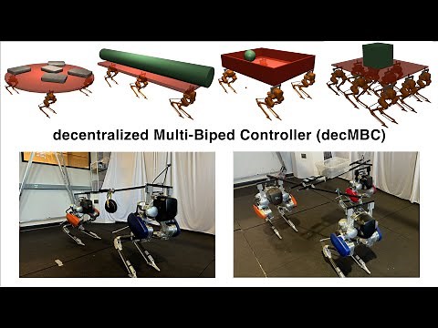 Learning Decentralized Multi-Biped Control for Payload Transport
