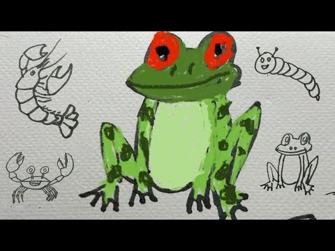 Show how to color in pictures of worms, lobsters, frogs, and crabs.