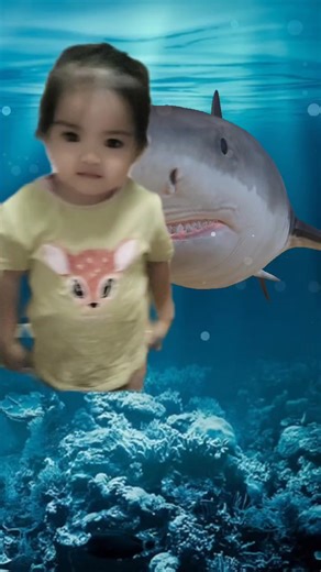 Baby Shark Dance TikTok Compilation