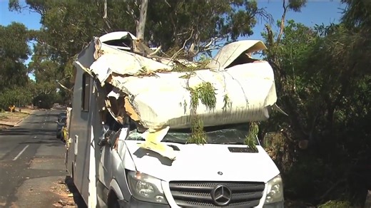 Man survives tree crushing campervan home