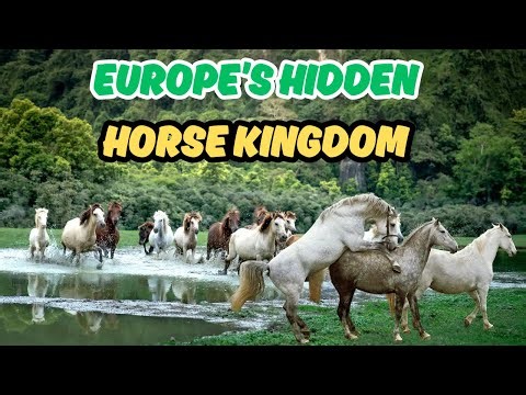 Europe’s Hidden Horse Kingdom 🐎 No One Talks About!