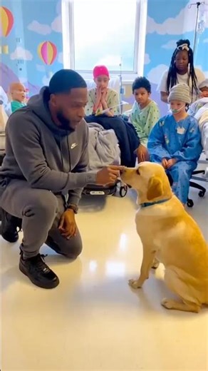 These dogs brought laughter to kids who needed it most #dogtherapy #dogtricks #dogtrainer #fyp