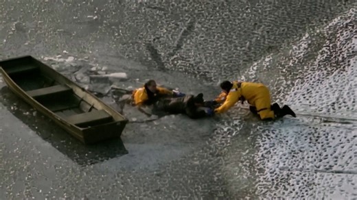 Drone footage captures the harrowing rescue of a dog and its owner after they fell through ice on a lake in Massachusetts. | Knoxville News Sentinel