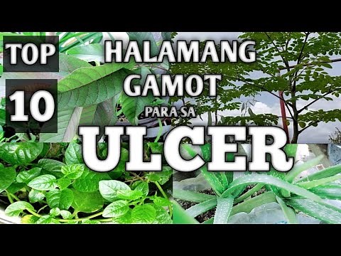 TOP 10 MEDICINAL PLANTS FOR TREATING STOMACH ULCER | HALAMANG GAMOT PARA SA ULCER | Homefoodgarden
