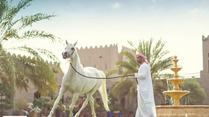 Skip bustling Dubai and head to the tranquil and affordable city of Ajman