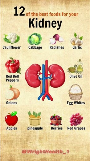 12 of the best foods for your Kidney