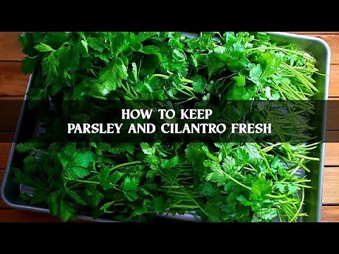 How to Keep Parsley and Cilantro Fresh | Storing Parsley in the Refrigerator | What's Up Wednesday!