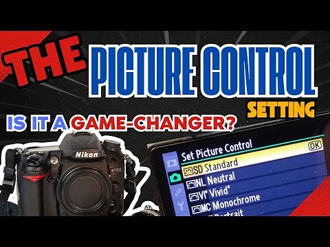 Picture Control Settings: On The (Nikon D7000)