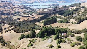 beautiful road landscape view of mountains in akaroa new zealand
