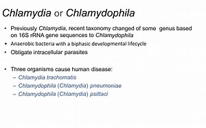 MED4006 Lecture 8 Chlamydia, Rickettsia and other rare organisms