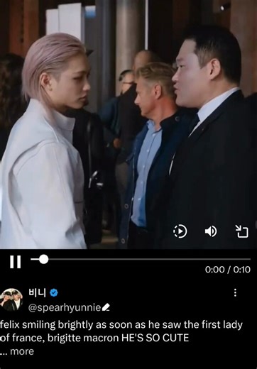 @whathe392855 he could've not included pictures of he but he did. the only reason felix has his honorary ambassador title know is because that's where he built his connection to them