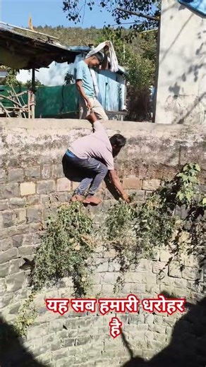 कुआ की सफाई #trending #viral #instagram