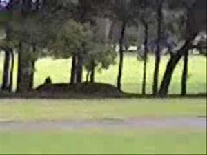 Tony Hawk performs a 1080 spin