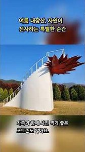 Naejangsan Mountain in Summer, Special Moments Gifted by Nature