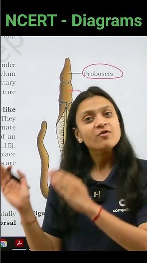 Identify The Diagram of Balanoglossus | Biology NEET | NCERT important Diagrams for NEET #biology