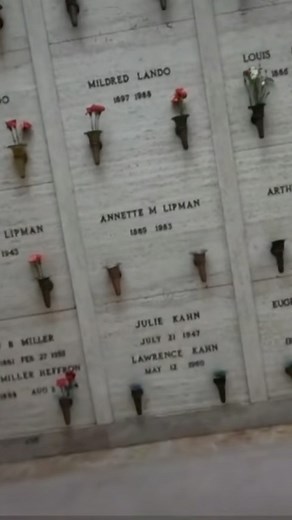 220 reactions · 5 comments | #cemetery #cemeteryphotography #grave #graveyards #shots #necropolis #cemeteries #gothic #taphophile #project #gravestone #cemeterywandering #cemeterylovers #death #dead #photography #graveyardphotography #affair #fanatics #tombstone #nation #life #graves #dark #art #taphophilia #bhfyp #urbex #urbanexploration | Crypt Door | Facebook