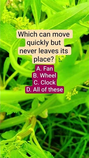 Which can move quickly but never leaves its place?