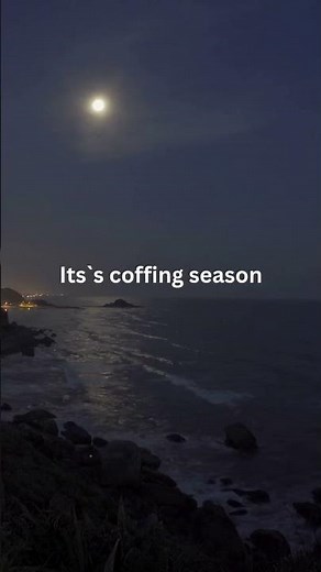 SZA - Big Boy (Lyrics) | "It's cuffing season I need a big boy, I want a big boy" | Aesthetic #sza