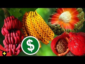 6 SECRETS of FRUITS AND VEGETABLES