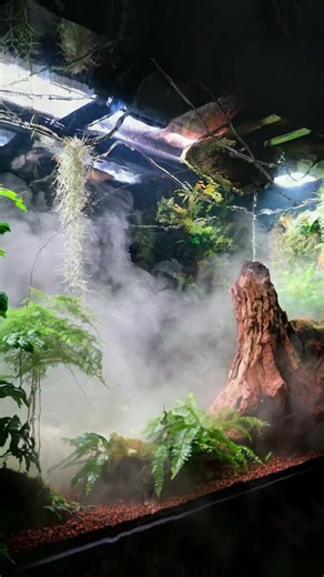 New Ant Species, New Tactics - The Journey Starts NOW!