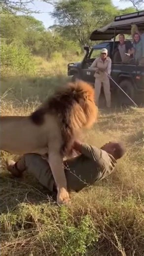Lion vs Human 😱 | Real Safari Fight That Terrified Everyone