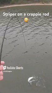 Striper on a crappie rod! Talk about FUN! #reelsviralシ #facebookreels #bnmpoles #facebookreel #fishing #texas #lakelife #followme | KidKrappie