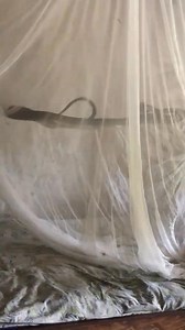 La visite surprise qui nous revient en esprit. #edélevage #casedélevage #elevageencotedivoire #cotedivoire #entrepreneurlife #entertainment #entrepreneur #Entretenimiento #entrepreneurship #entrepreneuriat @ [100063818480090:2048:Investir dans l'élevage \: agence et formation] @ [964271635710110:49210:@super fans] Michel N'guettia l'Entrepreneur | Investir dans l'élevage : agence et formation | Facebook