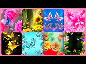 Dreamy World Of Flowers And Butterflies @Nature Beautiful Wallpapers