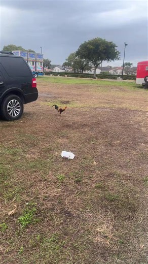 They getting bold lmao