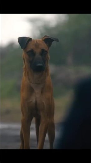 2025 ki Sabse Best South Indian Mystery Thriller | Eko Movie In Hindi