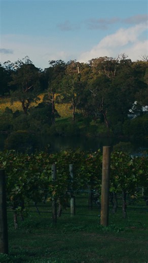 Feast upon the remarkable beauty of the Margaret River Region, where world-class food and wine create a symphony of flavour. | Western Australia
