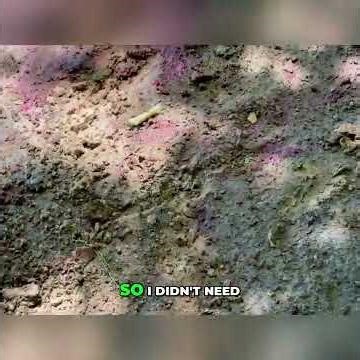 Epic Hog Hunt: Great Shot & Massive Blood Trail #shorts