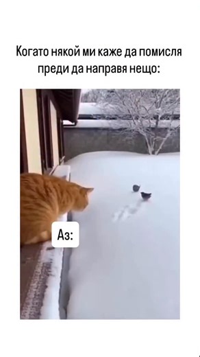 ✨ Астро компас | Астрология | Коучинг ✨ on Instagram: "🔥 Знаци, които действат преди да мислят ♈ Овен Абсолютният №1. Марс управлява – импулс, реакция, действие сега. Овенът мисли чрез действие, не преди него. ♐ Стрелец Действа воден от вяра, ентусиазъм и „ще се оправи“. Мисълта идва по-късно, често след като вече е тръгнал. ♌ Лъв Реагира от сърце и его. Ако нещо го е докоснало – действа веднага, после мисли как е изглеждало. ⚡ Знаци, които действат бързо, но не винаги без мисъл ♊ Близнаци Реак