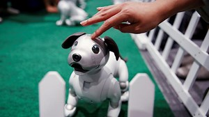 Aibo, el perro robot que costará 2.899 dólares