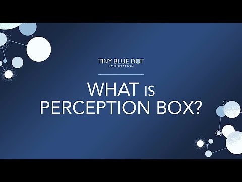 What is Perception Box?