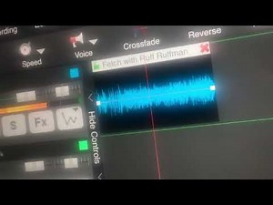 Fetch with Ruff Ruffman Theme Song in Green Lowers