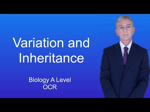 A Level Biology Revision (Year 13) "Variation and Inheritance"