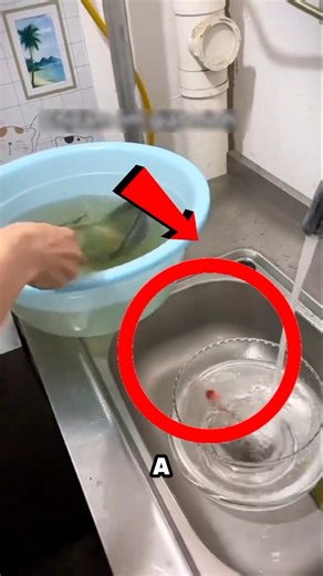 She Cleaned Her Fish Tank Like This… Big Mistake! 😱 #shorts