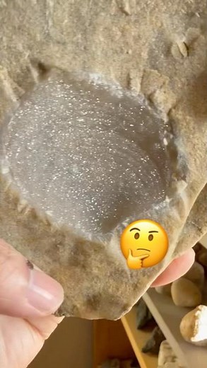 Fossil Shell Surprise With Quartz Crystals⁉️#beachfinds#quartzcrystals#fossilhunter