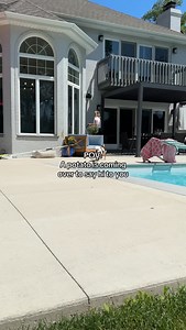 You’re about to get slobbered #englishbulldog #funnydog #cutedog #dogsofinstagram | The Baby Pancake