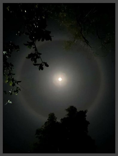 Lunar halo #nature